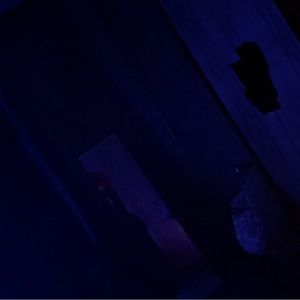 Meet your Posher, Janiva